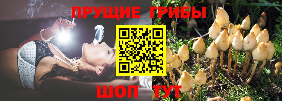 Псилоцибиновые грибы Psilocybe  Вход с VPN  Галлюциногенные грибы Cubensis  Мелеуз 